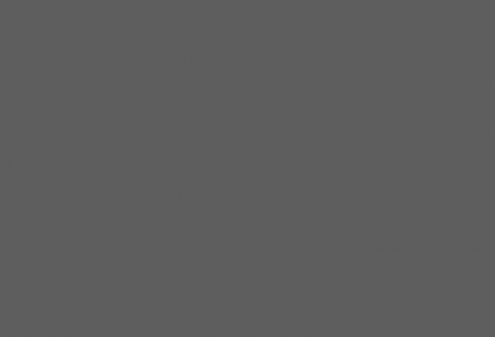 Maecenas eget libero